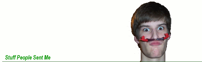 Nobody Sent Me This Pic, I Made It With My Face